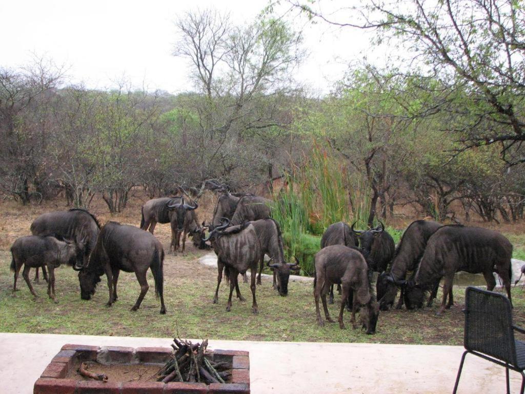 Turaco Lodge - No Loadshedding Marloth Park Esterno foto